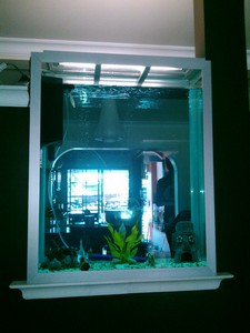 vidrio de 1/2"  forrad con angulo de 1 1/2"